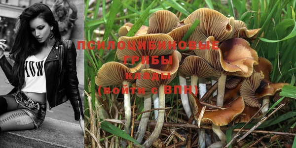 MDMA Новозыбков