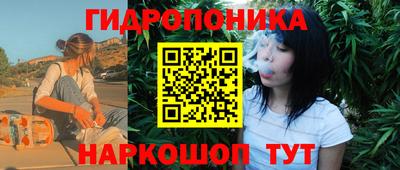 сатива Гатчина