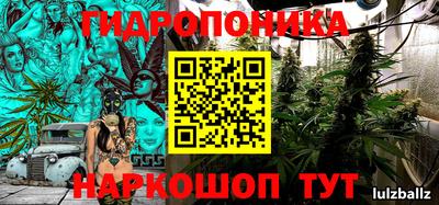 ГАЛЛЮЦИНОГЕННЫЕ ГРИБЫ Гагарин
