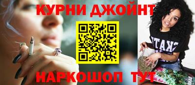 сатива Гатчина