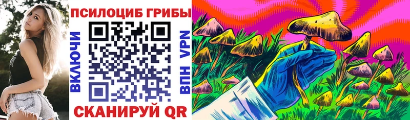 Псилоцибиновые грибы мицелий  Павлово 