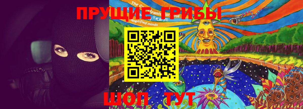 Галлюциногенные грибы Cubensis Павлово