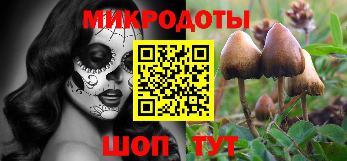 Псилоцибиновые грибы MAGIC MUSHROOMS  Вход с VPN  Павлово 